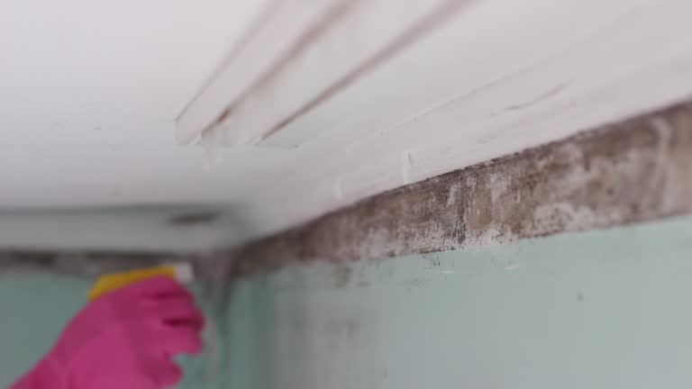 Best Residential Mold Inspection & Testing  in Medford Lakes, NJ